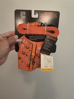 Thrills Orange Pumpkin Kitten Comfort Harness & Leash Set